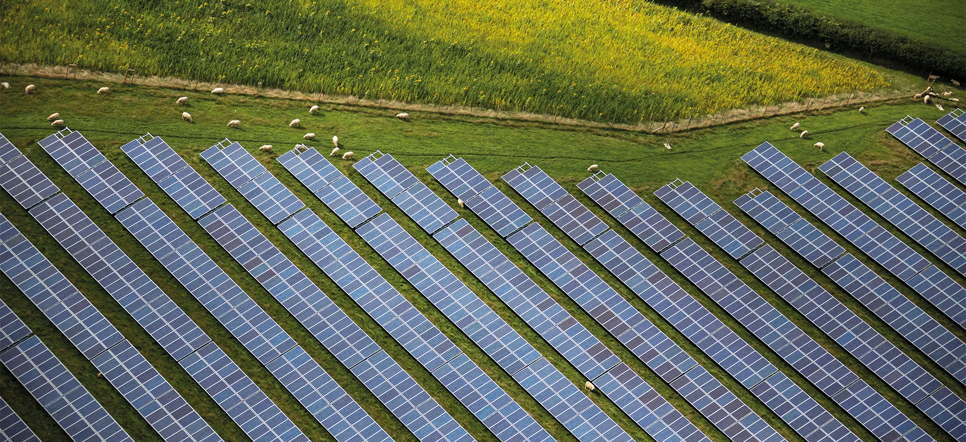 Here Comes the Sun: Where to locate the next generation of solar farm sites 