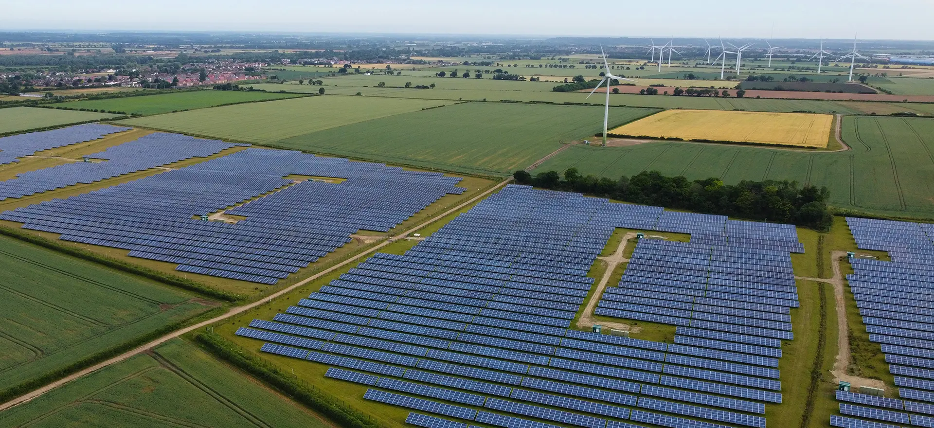 BNG for NSIPs: Update Signals Flexibility in a Complex System